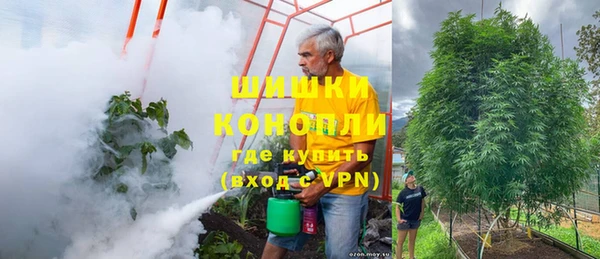 прущие крисы Дмитриев