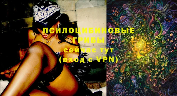 прущая мука Дмитров