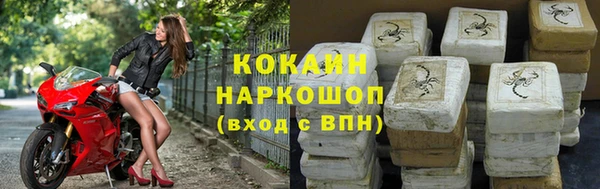 крисы Шадринск