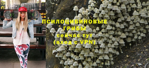 прущие крисы Дмитриев